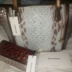 Brahmin Bag & Wallet
